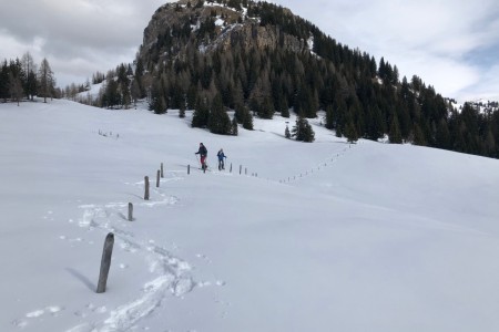 Gemeinsame Schneeschuhtour mit Toni im Bereich Saukaralm
