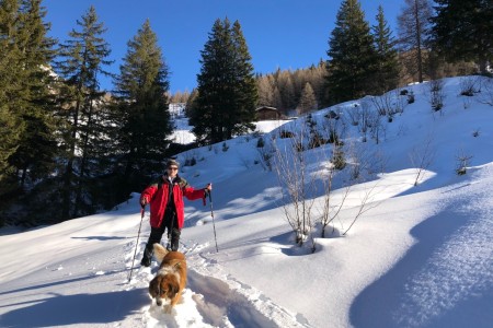 Geführte Schneeschuhwanderung mit Toni
im Gebiet der “Breitenebenalm“