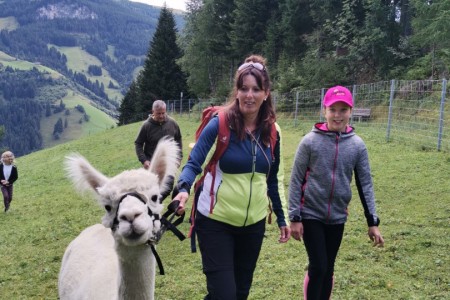 Alpaka Wanderung mit unseren 4 flauschigen Freunden