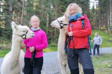 Wanderung mit unseren 4 flauschigen Alpakas
