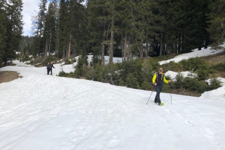 Schneeschuhwanderung mit Toni im Bereich der Breitenebenalm