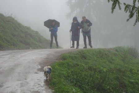 Geführte (Regen)Wanderung mit Dominik & Maria zur Loosbühelalm