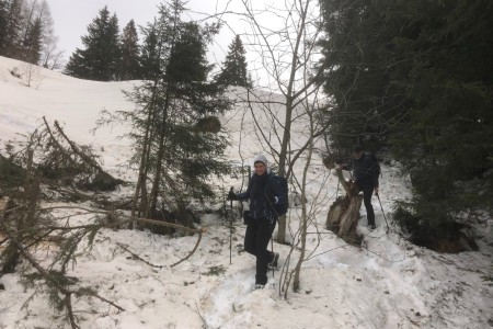 Schneeschuhwanderung mit "Toni"
im Bereich Breiteneben