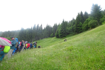 Geführte Casanova Wanderungen in Hüttschlag, Aschaustüberl