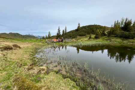 Geführte Wanderung im Ellmautal