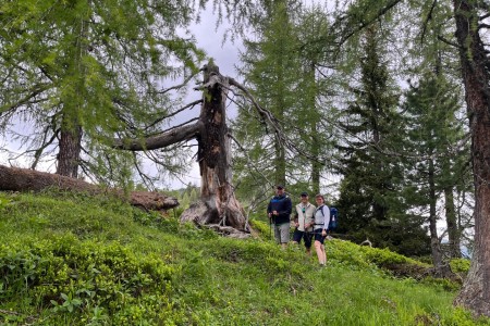 Bike & Hike Tour mit Toni im Bereich Filzmoosalm