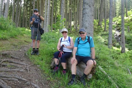 Private Wandertour mit Maria über die Unterwandalm - Karseggalm - Breitenebenalm