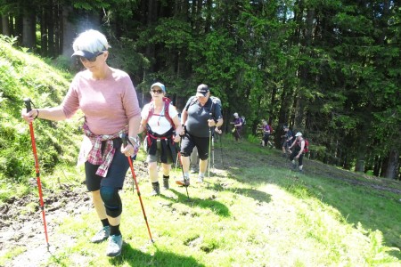 Private Wandertour mit Maria über die Unterwandalm - Karseggalm - Breitenebenalm