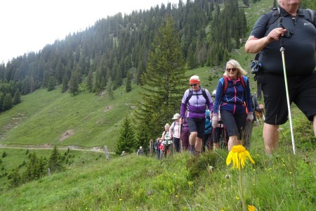 Private Wandertour mit Maria über die Unterwandalm - Karseggalm - Breitenebenalm