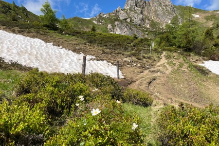 Gemeinsame Wanderung mit Toni sen.