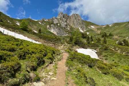 Gemeinsame Wanderung mit Toni sen.