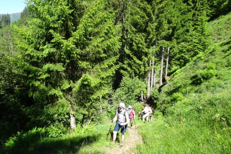 Wanderung mit Maria zur Heugathalm