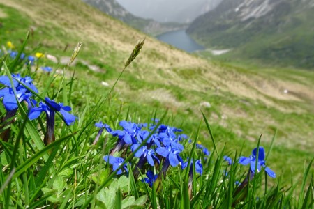 Wanderung mit Melanie und Maria zu den Draugsteinalmen