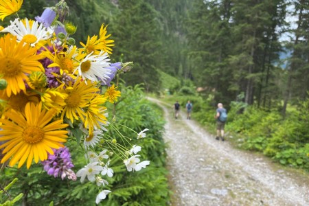 Gemütliche Tour mit Toni im Talschluss von Hüttschlag