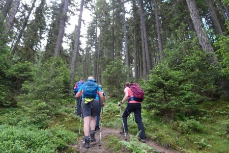 Geführte Wanderung mit Dominik zur Bichlalm - Remsteinkopf