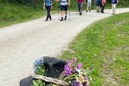 Geführte Wanderung mit Toni im Bereich der Hub Grundalm