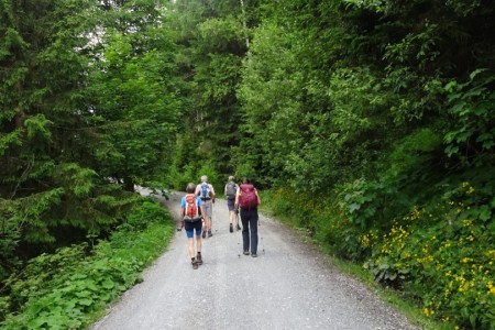 Wanderung mit Daniela zur Viehausalm