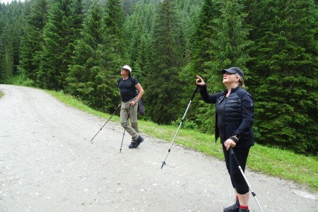 Wanderung mit Daniela zur Reitalm