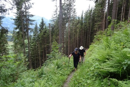 Geführte Wanderung mit Dominik zur Gerstreitalm