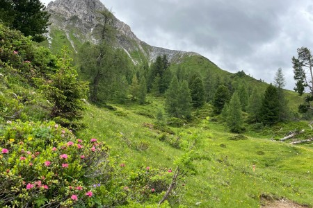 Geführte Bike & Hike Tour mit Toni zur Filzmoosalm - Draugsteinlacke