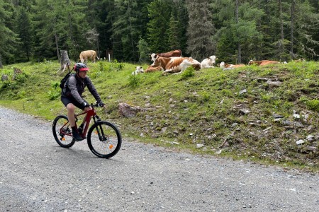 Geführte Bike & Hike Tour mit Toni zur Filzmoosalm - Draugsteinlacke