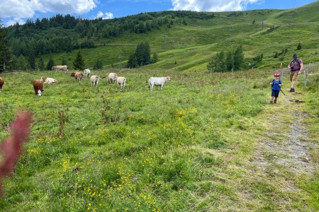 Wanderung mit Toni im Bereich der Bergbahn