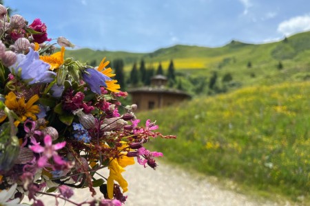 Wanderung mit Toni im Bereich der Bergbahn