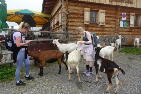 Geführte Wanderung mit Daniela im Ellmautal