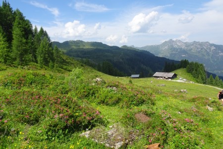 Wanderung mit Melanie zum Penkkopf