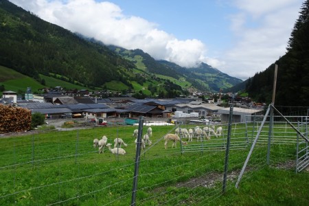 Familien Spaziergang inkl. Würstchen Grillen mit Dominik