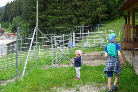 Familien Spaziergang inkl. Würstchen Grillen mit Dominik