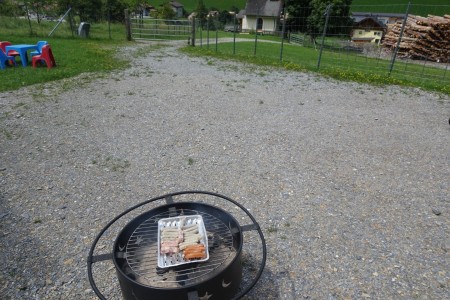 Familien Spaziergang inkl. Würstchen Grillen mit Dominik