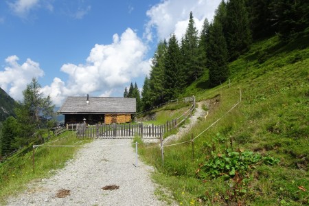 3 Almenwanderung mit Melanie zur Filzmoosalm, Loosbühelalm und Weißalm