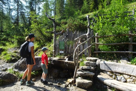 3 Almenwanderung mit Melanie zur Filzmoosalm, Loosbühelalm und Weißalm