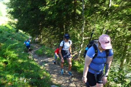 3 Almenwanderung mit Melanie zur Filzmoosalm, Loosbühelalm und Weißalm