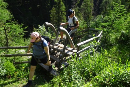 3 Almenwanderung mit Melanie zur Filzmoosalm, Loosbühelalm und Weißalm