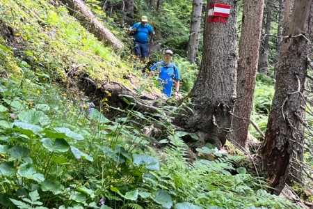 Wanderung mit Toni sen. zur Großwildalm