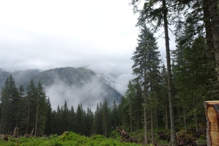 Geführte Wanderung mit Daniela zur Hirschgrubenalm