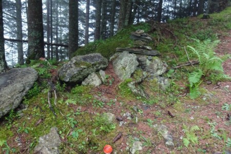 Geführte Wanderung mit Daniela zur Hirschgrubenalm