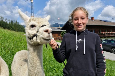 Alpakawanderung mit Karin