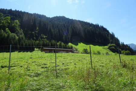 Familienspaziergang inkl. Würstlgrillen mit Dominik