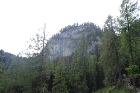 Wanderung mit Daniela zur Niggeltalalm