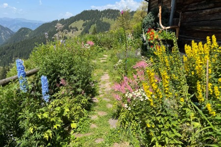 Almwanderung mit Toni zur Maurachalm