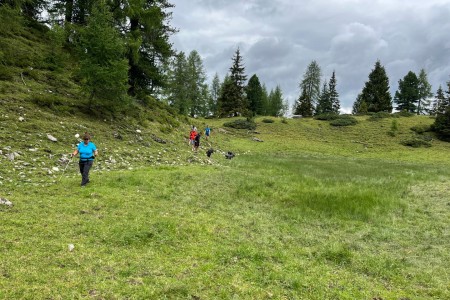 Bike & Hike Tour mit Toni zur Filzmoosalm - Draugsteinlacke