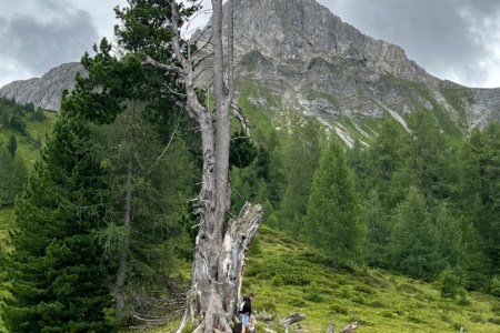 Bike & Hike Tour mit Toni zur Filzmoosalm - Draugsteinlacke