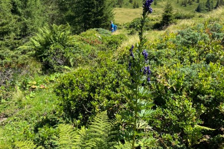 Bike & Hiketour mit Toni sen.