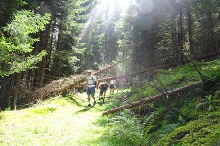 Wanderung mit Maria zur Hirschgrubenalm