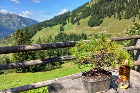 Wanderung mit Daniela zur Karseggalm