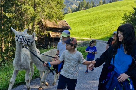 Alpakawanderung mit Karin