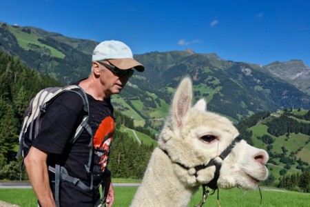 Alpakawanderung mit Karin